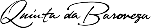 image (3)